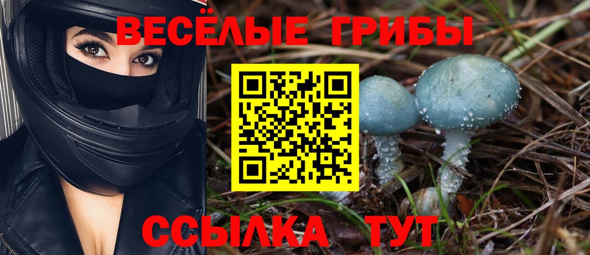 Псилоцибиновые грибы Cubensis Железноводск